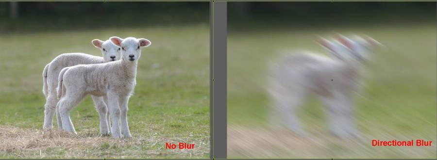 blur-directional.jpg